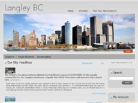 Screenshot representing the Langley Limo website project
